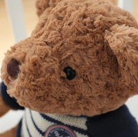 Fabrication sur mesure d'ours en peluche super mignons, fabricant d'animaux en peluche en coton, jouets en peluche doux avec logo de l'entreprise sur t-shirt