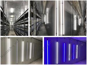 Tubo LED IP67 6500K per Coltivazione Funghi, Luce Bianca per Serre Indoor - Product Image 6