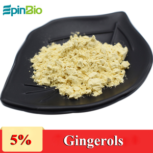 Poudre d'extrait de gingembre EpinBio de haute qualité 100 % naturelle de qualité alimentaire, 20 % de gingérols, 100 % passant le tamis 80 mesh, emballage sous vide en fût - Product Image 4