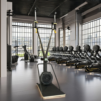 Simulador de Esquí con Resistencia al Aire, Entrenador de Esquí de Fondo para Interiores, Equipo de Fitness Cardiovascular de Cuerpo Completo Concept 2