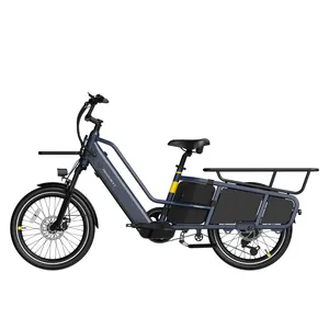 OEM ODM High End 2 Wheel Long Tail Electric Bicycle 500W 750W Family Electric Cargo Bike