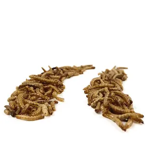Mealworm-gusano amarillo de alta proteína, pájaro, Tortuga, hámster, aperitivo especial, <span class=keywords><strong>comida</strong></span> seca para pájaro, <span class=keywords><strong>comida</strong></span> para palomas - Product Image 5
