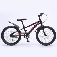 Mini vélo 20 pouces pour enfants, VTT, livraison directe d'usine, styles populaires de VTT