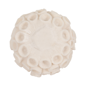 Ornamento Decorativo in Resina a Forma di Sfera di Corallo per Casa, Bagno, Ufficio, Cucina, Tavolo, Decorazione Texturizzata - Product Image 5