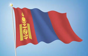 Imprima su propio logotipo Diseño Palabras Bandera 3X5 Ft Personalizado Mongoli Banderas Banner - Product Image 3