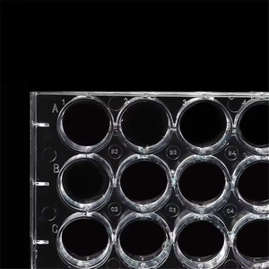 จานเพาะเชื้อเพ็ทรีพีพีใส 6 ช่อง ขนาด 125x85x22 มม. สำหรับใช้ในห้องปฏิบัติการ - Product Image 3