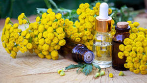 Aceite de <span class=keywords><strong>Immortelle</strong></span> Orgánico, Aceite Eterno, Aceite Esencial de Helichrysum Italicum Natural para el Cuidado de la Piel - Product Image 4