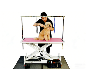 कुत्तों के लिए बड़ी इलेक्ट्रिक ग्रोमिंग टेबल, वाणिज्यिक पालतू देखभाल व्यवसाय के लिए कई रंगों में 1400 एक्स 600 मिमी शीर्ष - Product Image 1