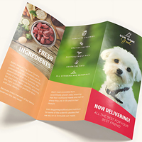 Brochure de papier d'art 250g personnalisée de haute qualité dépliant de papier d'impression numérique ou offset