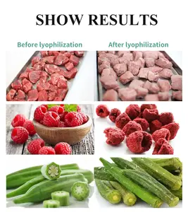 Gemüse-Obst-Gefriertrocknung maschine Vakuum-Gefriertrocknung maschine Obst-und Gemüse-Gefriertrocknung maschine
