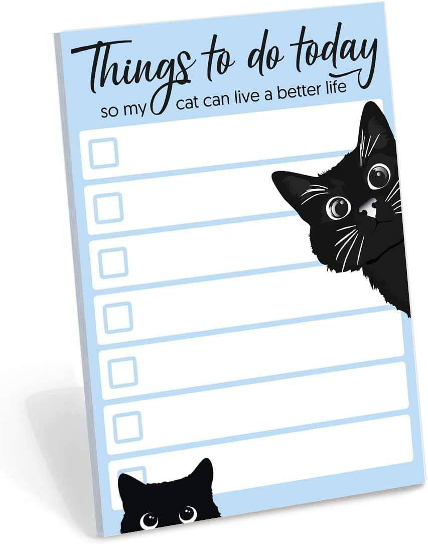 แมวสีฟ้าสีดำขนาดใหญ่