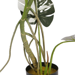 <span class=keywords><strong>Plante</strong></span> Monstera Artificielle 110cm Faux <span class=keywords><strong>Albo</strong></span> Monstera <span class=keywords><strong>Plante</strong></span> d'Intérieur dans un Pot en Plastique Noir pour la Décoration de la Maison et du Bureau - Product Image 5