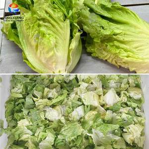 Lechuga vegetal de gran salida, cebolla verde, cebollino, col rizada, espárragos, ajo, máquina <span class=keywords><strong>para</strong></span> cortar - Product Image 3