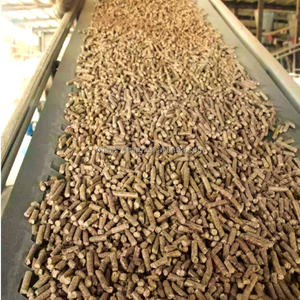 Équipement de fabrication de biocharbon, ligne de carbonisation avec machine à granulés de biocharbon à partir de biomasse - Product Image 5