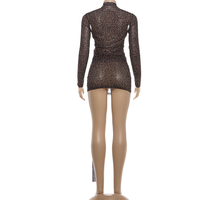 Robe longue de soirée sexy pour femme, imprimé léopard, col en V profond, manches longues, empiècements en maille, ourlet patchwork