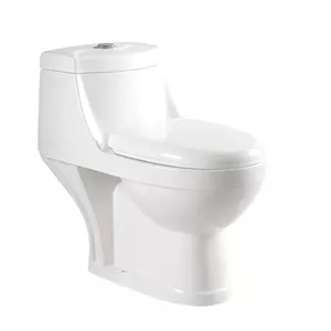 छुपा HS-8024 जापानी चीन सेक्स एक टुकड़ा शौचालय, बाथरूम शौचालय सिरेमिक