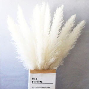 120cm Natural Blanco Gris Seco Pampas Hierba Decoración de la boda Total Petaca <span class=keywords><strong>Cortaderia</strong></span> para ocasiones de Navidad - Product Image 3