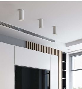 सिलेंडर downlight बाहरी निविड़ अंधकार प्रकाश स्थिरता आउटडोर downlight IP65 इनडोर बाहरी छत नीचे प्रकाश फिटिंग - Product Image 5