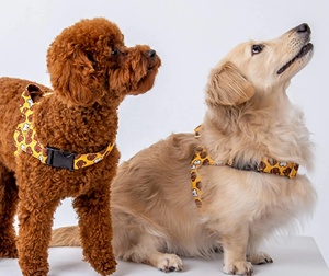 ชุดสายจูงสุนัขแบบปรับได้, ไม่มีสายจูงสุนัขปรับได้ - Product Image 5