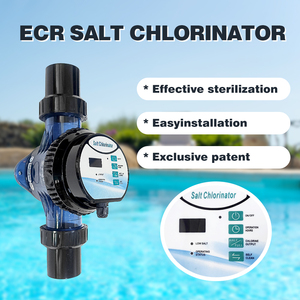 <span class=keywords><strong>Precio</strong></span> al por mayor, placa de titanio para piscina, Clorador de agua salada, Clorador de spa en línea - Product Image 6