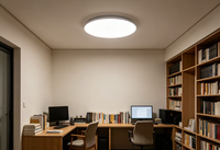 Plafonnier LED en plastique homologué CE ERP IP54 24W Ra80 AC 6000K moderne pour salle de bain