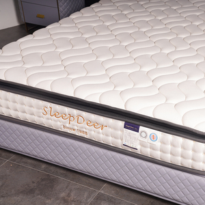 10-inch Modern style Apartment mattress High density soft foam double bed mattress