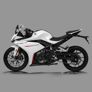 Vente directe d'usine, moto sportive 250cc à double ABS, vitesse maximale de 160 km/h, pour piste de course - Product Image 4