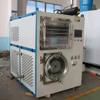 Automatische Commerciële Goedkoopste Industriële Voeding Fruit En Groente Lyofilisator Vriesdroger Lyofilisatie Machine Prijs