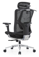 Chaise de bureau ergonomique Elite Series 5D à dossier haut avec appui-tête 3D, confort toute la journée pour les cadres et le télétravail