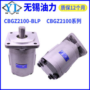 Bomba de Aceite para Engranajes Serie CBW/CBF de Hefei Changyuan, Nueva Condición, Componentes de Bomba de Aceite para Sistema de Enfardadora Hidráulica - Product Image 5