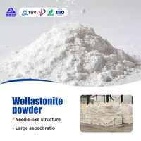 Poudre de Wollastonite Micronisée 800 Mesh, Surface Lisse, Remplissage Minéral pour Plastiques Automobiles