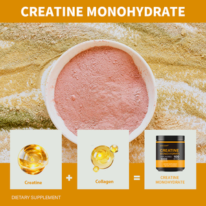 自有品牌一水肌酸粉 99% 一水肌酸可促进肌肉生长并提供能量 一水肌酸粉 - Product Image 4