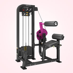 Machine d'extension dorsale professionnelle MND-<span class=keywords><strong>FM21</strong></span> à charge guidée pour salle de sport et fitness - Product Image 1