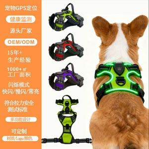Arnés LED para mascotas, chaleco luminoso ajustable para caminar de noche, correa de pecho para perros y gatos de tamaño mediano con modo intermitente - Product Image 1