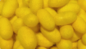 Produzione di prodotti tessili per la casa all'ingrosso di seta grezza di gelso bianco <span class=keywords><strong>materiale</strong></span> per ovatta - Product Image 5