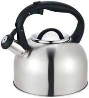 Bouilloire à thé sifflante en acier inoxydable de haute qualité de 3,0 L Bouilloire à eau au design moderne et classique avec une capacité de 2,5 L