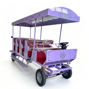 Carruaje Eléctrico Clásico de Estilo Europeo con 4 Ruedas, para Servicios de Boda, Turismo al Aire Libre, para 4-6 Personas - Product Image 1