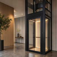 Ascenseur panoramique compact MRL pour maison, cabine en verre sans cadre, sans salle de machine, design peu encombrant pour les maisons modernes américaines