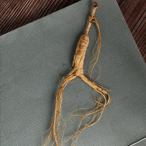 Kotak Hadiah <span class=keywords><strong>Ginseng</strong></span> Putih Tumbuh di Hutan Grosir 10 Akar 50g Dari Gunung Changbai OEM - Product Image 5