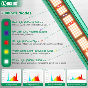 1200W UV IR LED crescono luce di risparmio energetico 50000hrs per la serra 3.3 umol/J copre 6 x6ft per idroponica