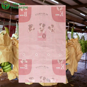 Seedless Grape 2 Layers Apple Paper China Factory Custom Banana Bag Seedless Grape 2 Layers Apple Paper China Factory Custom Banana Bag