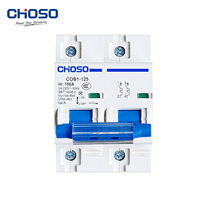 Sectionneur-Interrupteur Principal Domestique CHOSO COB1-125 2P AC 80A/100A/125A 230V 6kA/4kA Cat.A PA66 Montage sur Rail CE