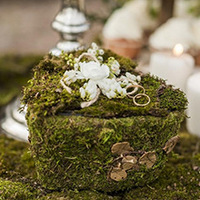 Mousse sèche véritable de Chine pour bricolage, jardin d'intérieur, bonsaï, décoration paysagère, mousse sèche artificielle de surface, vente en gros