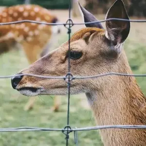 Bán nóng dây thép thấp lưới hàng rào cổng đường lái xe không thấm nước cho hàng rào trang trại cho cừu và gia súc