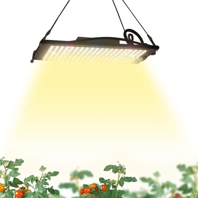 Wholesale Manufacturer Grow Light 240w/120w High-efficiency Waterproof Grow Lights Samsung Lm301h Evo for Plants