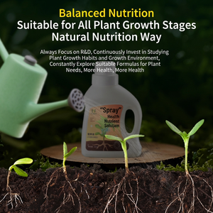 Nutriente <span class=keywords><strong>Líquido</strong></span> Concentrado <span class=keywords><strong>para</strong></span> <span class=keywords><strong>Plantas</strong></span>, Suplemento de Crecimiento de Larga Duración <span class=keywords><strong>para</strong></span> Flores, Suculentas, Arbustos y <span class=keywords><strong>Plantas</strong></span> <span class=keywords><strong>en</strong></span> Maceta - Product Image 3