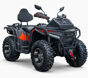 Quad tout-terrain de qualité supérieure 2026, 300 cm3, 4 temps, transmission automatique, pour adultes, tout-terrain - Product Image 1