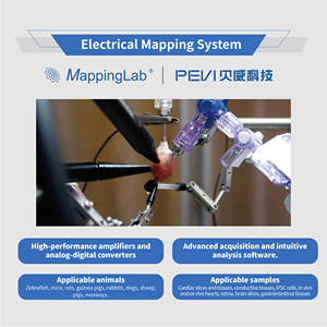 Piattaforma di Mappatura Cardiaca per Rilevamento di Segnali Fisiologici Multicanale per Elettrofisiologia ad <span class=keywords><strong>Alta</strong></span> Fedeltà <span class=keywords><strong>e</strong></span> Analisi della Conduzione - Product Image 1