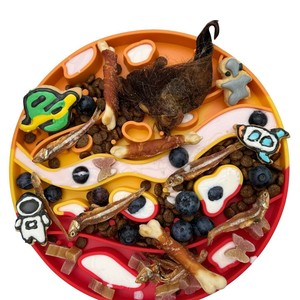 Oem Odm Style <span class=keywords><strong>Mars</strong></span> Logo de couleur personnalisé en silicone de qualité alimentaire pour chien 2 en 1 bol de tapis à lécher pour chien à alimentation lente - Product Image 6
