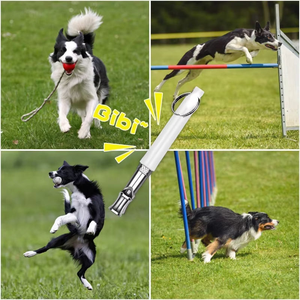 Aides à l'entraînement des animaux de compagnie : Sifflet d'entraînement pour chiens avec cordon, Flûte pour chien, Répulsif ultrasonique anti-aboiement, Outil d'obéissance pour chiots - Product Image 6